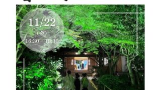 【11/22㊎夜の普元寺マルシェ🍁】ミニ畳ワークショップと販売を致します！ライトアップされた普元寺さんの紅葉をお楽しみ下さい。